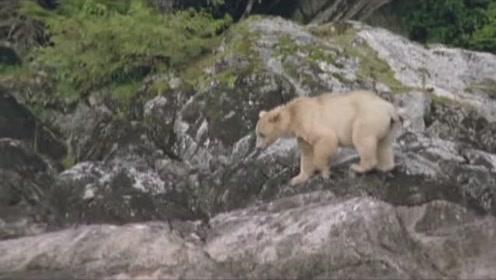 “机智”号火星直升机结束3年历史性旅程