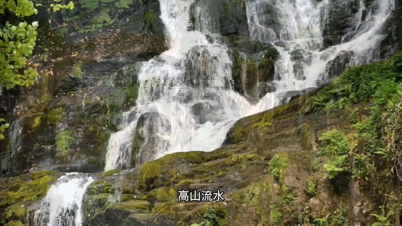 霍启刚带三娃飞瑞士找晶晶,机上乘客大赞霍家小孩乖巧安静有教养
